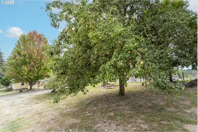 35706 NW 14th Ave, La Center, WA 98629 - Photo 39