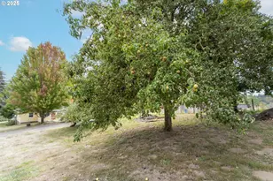 35706 NW 14th Ave, La Center, WA 98629 - Photo 39