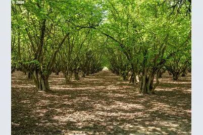 E Beacon, Eugene, OR 97404 - Photo 5