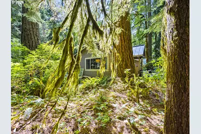 76619 E Rd 30C, Rhododendron, OR 97049 - Photo 29