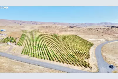 Dalles Mt Rd, Dallesport, WA 98617 - Photo 27