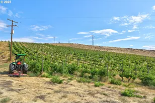 Dalles Mt Rd, Dallesport, WA 98617 - Photo 1