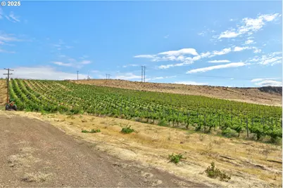 Dalles Mt Rd, Dallesport, WA 98617 - Photo 7