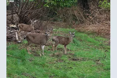 62885 Isthmus Heights Rd, Coos Bay, OR 97420 - Photo 5