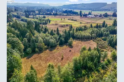 104 Bills Ln, Onalaska, WA 98570 - Photo 3