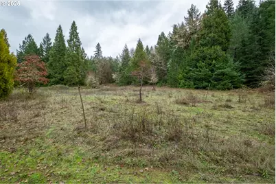 9740 Upper Olalla Rd, Winston, OR 97496 - Photo 37