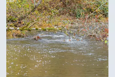 9740 Upper Olalla Rd, Winston, OR 97496 - Photo 23