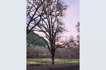 9740 Upper Olalla Rd, Winston, OR 97496 - Photo 39