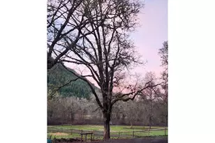 9740 Upper Olalla Rd, Winston, OR 97496 - Photo 39