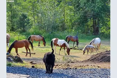 9740 Upper Olalla Rd, Winston, OR 97496 - Photo 29