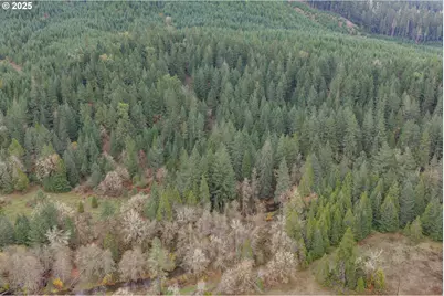 9740 Upper Olalla Rd, Winston, OR 97496 - Photo 35