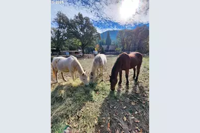 9740 Upper Olalla Rd, Winston, OR 97496 - Photo 29