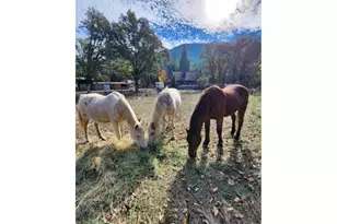 9740 Upper Olalla Rd, Winston, OR 97496 - Photo 29