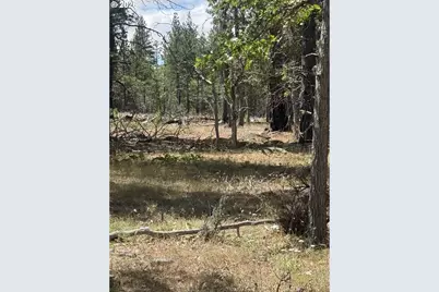 Old Stage Rd, Goldendale, WA 98620 - Photo 3
