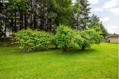 3284 Oak St, Longview, WA 98632 - Photo 31