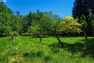 25421 SE Sunshine Valley Rd, Damascus, OR 97089 - Photo 45