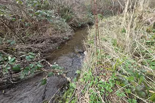 95725 Onyx St, Gold Beach, OR 97444 - Photo 21