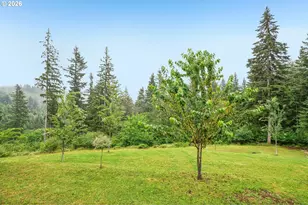 25117 NE 239th Cir, Battle Ground, WA 98604 - Photo 33