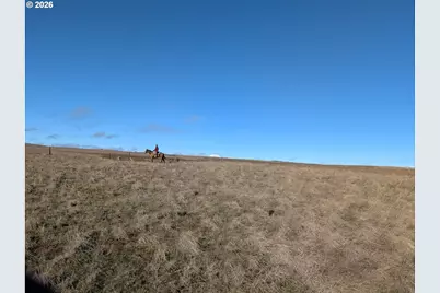 905 Randall Rd #Lot 1, Centerville, WA 98613 - Photo 13