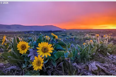 905 Randall Rd #Lot 1, Centerville, WA 98613 - Photo 7