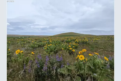 905 Randall Rd #Lot 1, Centerville, WA 98613 - Photo 5