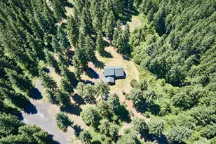 502 Loowit Ln, Cougar, WA 98616 - Photo 45