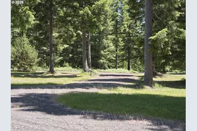 502 Loowit Ln, Cougar, WA 98616 - Photo 3