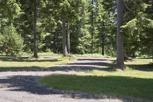 502 Loowit Ln, Cougar, WA 98616 - Photo 3