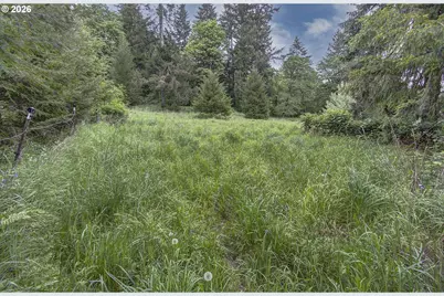 26810 NE 434th St, Amboy, WA 98601 - Photo 29