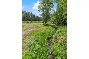 61608 Wallowa Mountian Loop, Joseph, OR 97846 - Photo 13