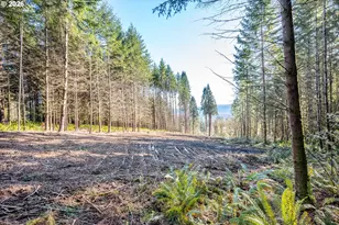 0 Bunker Hill Rd, Longview, WA 98632 - Photo 1