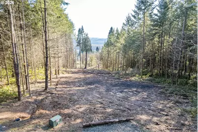 0 Bunker Hill Rd #A, Longview, WA 98632 - Photo 7