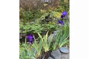 1121 Yeust Rd, Azalea, OR 97410 - Photo 39