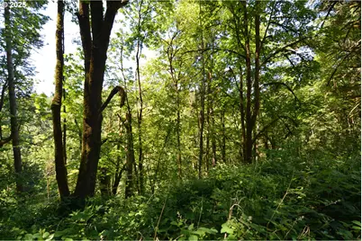 2429 Archwood Dr, Longview, WA 98632 - Photo 5