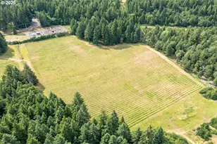 391 Newell Rd, Underwood, WA 98651 - Photo 5