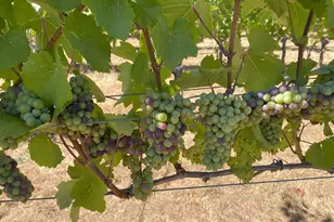 391 Newell Rd, Underwood, WA 98651 - Photo 17