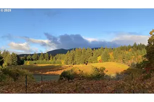 391 Newell Rd, Underwood, WA 98651 - Photo 13