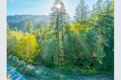 20191 Highway 42, Myrtle Point, OR 97458 - Photo 3