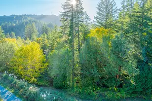 20191 Hwy 42, Myrtle Point, OR 97458 - Photo 3