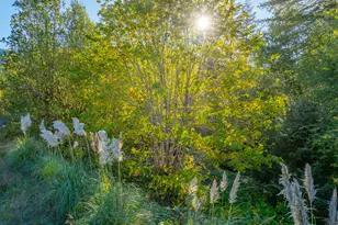 20191 Hwy 42, Myrtle Point, OR 97458 - Photo 41