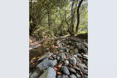 20191 Highway 42, Myrtle Point, OR 97458 - Photo 37