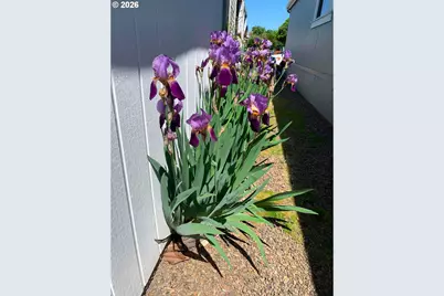 1699 N Terry St #351, Eugene, OR 97402 - Photo 25