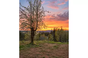 18209 NE Peg Rd, Yacolt, WA 98675 - Photo 39