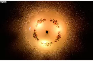 3407 NE 81st Ave, Portland, OR 97213 - Photo 5