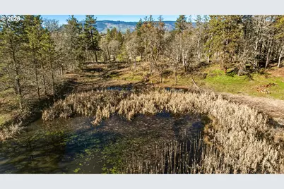 Morgensen Rd, Mosier, OR 97040 - Photo 11