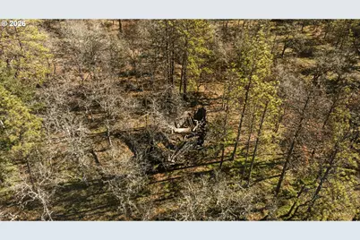 Morgensen Rd, Mosier, OR 97040 - Photo 13