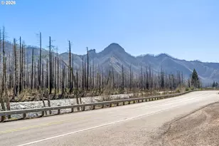 52633 McKenzie Hwy, Blue River, OR 97413 - Photo 31