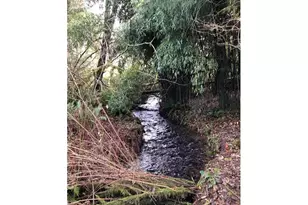 17719 NE Manning Cir, Amboy, WA 98601 - Photo 9