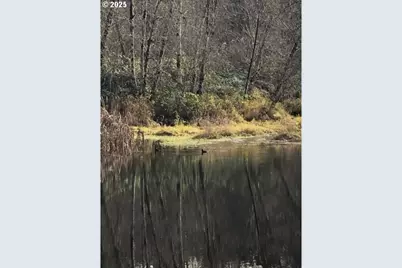 17719 NE Manning Cir, Amboy, WA 98601 - Photo 5