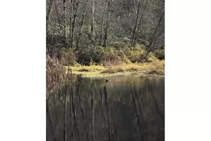 17719 NE Manning Cir, Amboy, WA 98601 - Photo 5